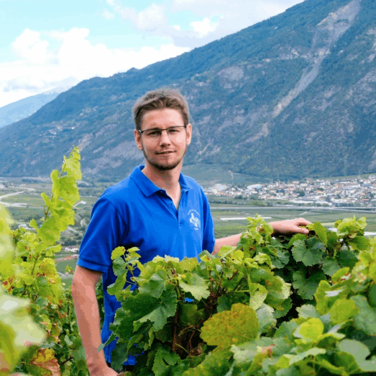 Cave Corbassière