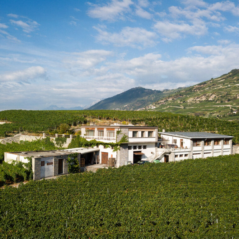 caves Vocat vins