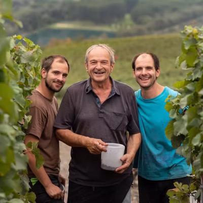 Bagnoud Vins
